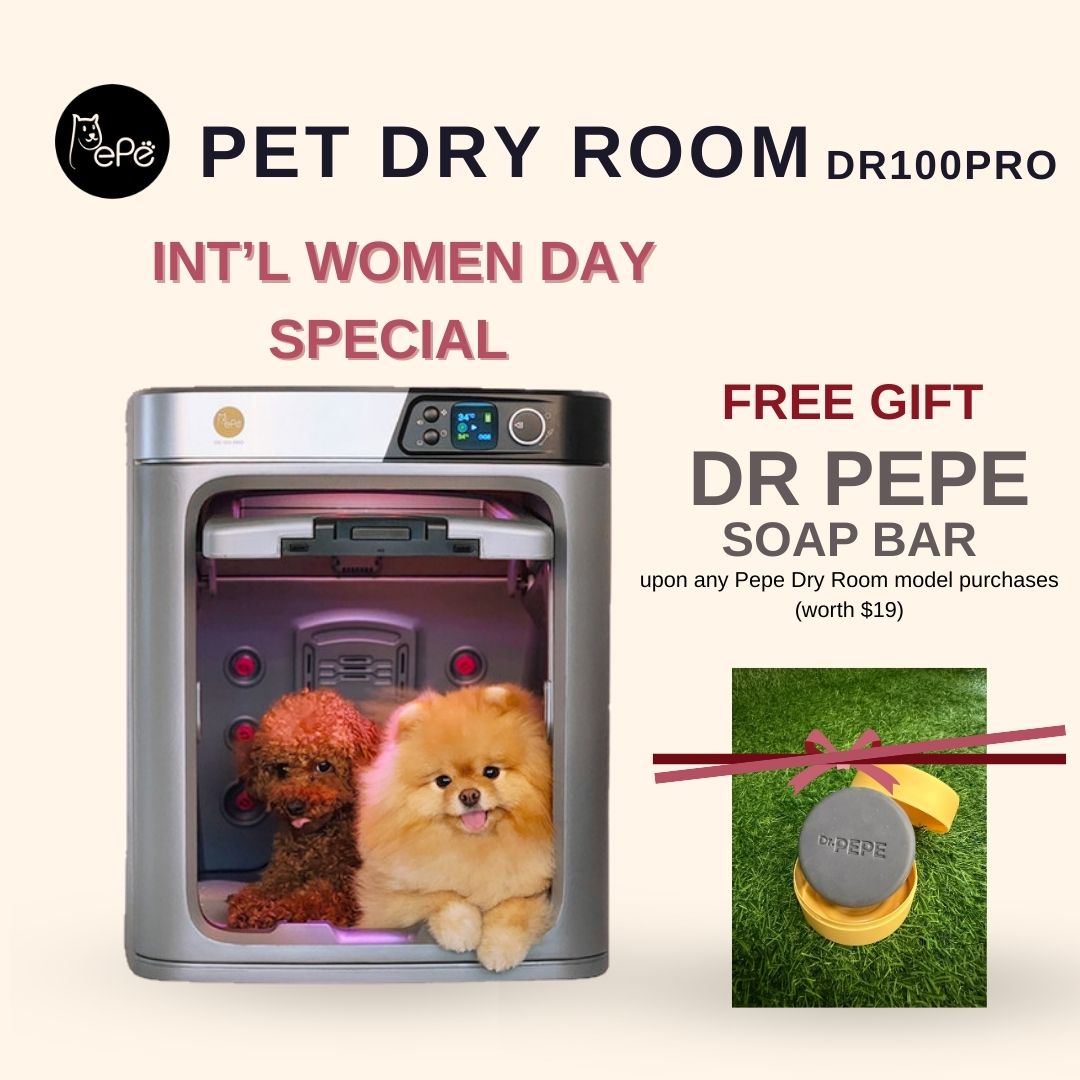 Pepe Pet Dry Room DR100PRO - Intl Women Day 2026