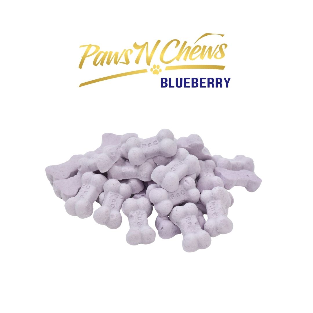Fermented Goat Milk Probiotic (BlueBerry) Freeze-Dried Value Pack