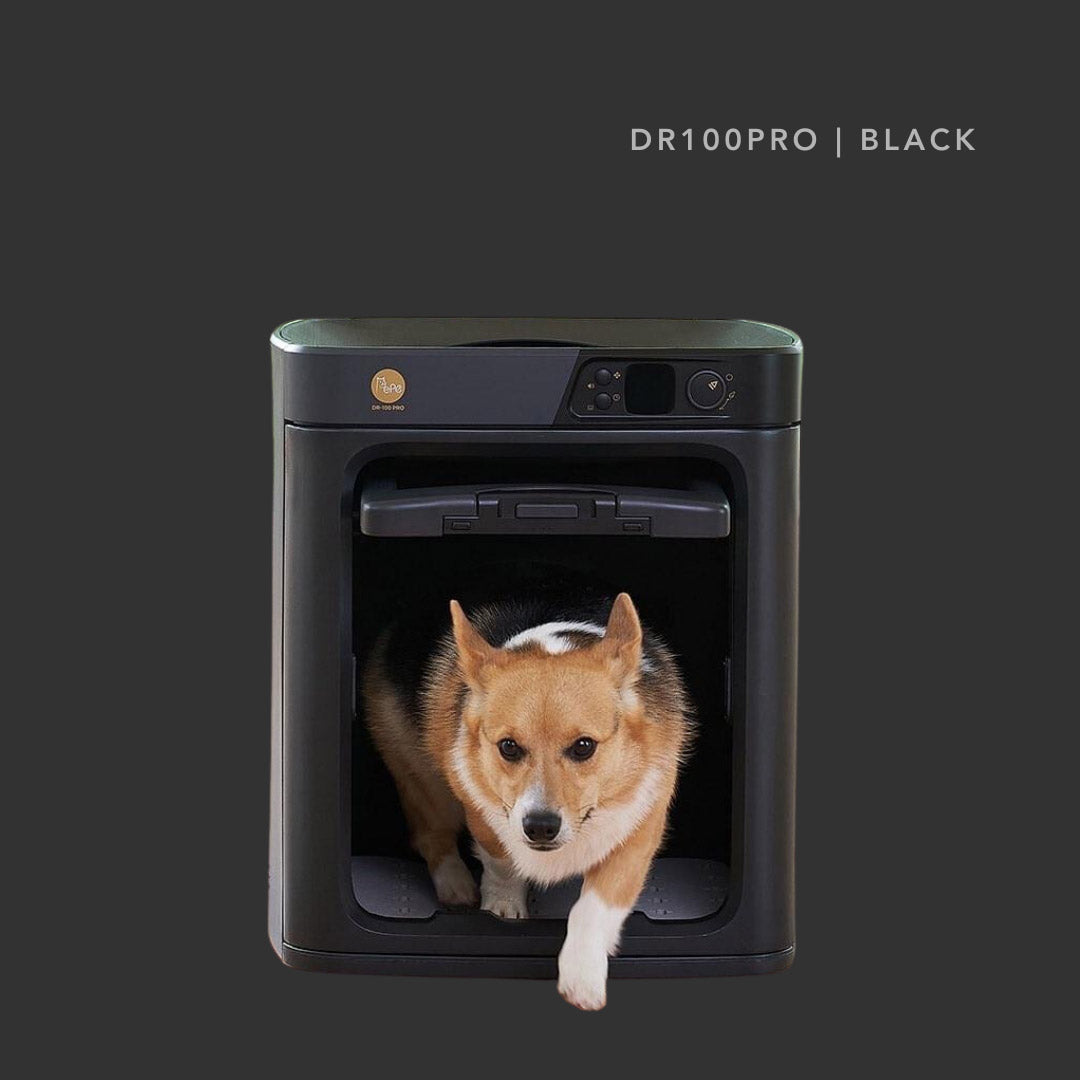 PePe DR100PRO Black