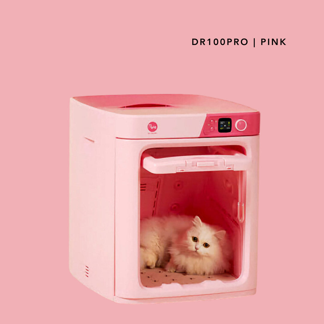 PePe DR100PRO Pink