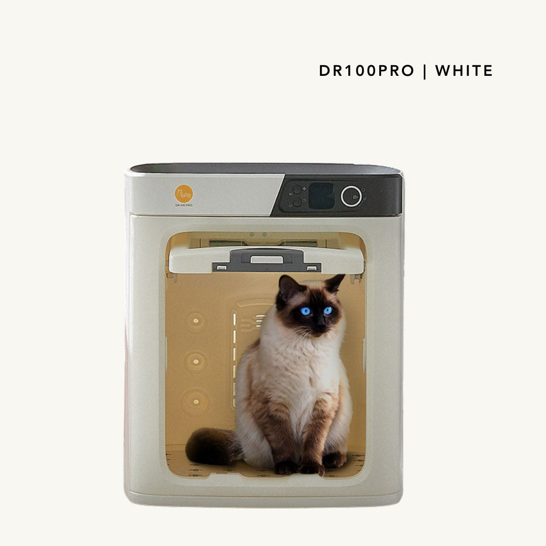 PePe DR100PRO Classic White