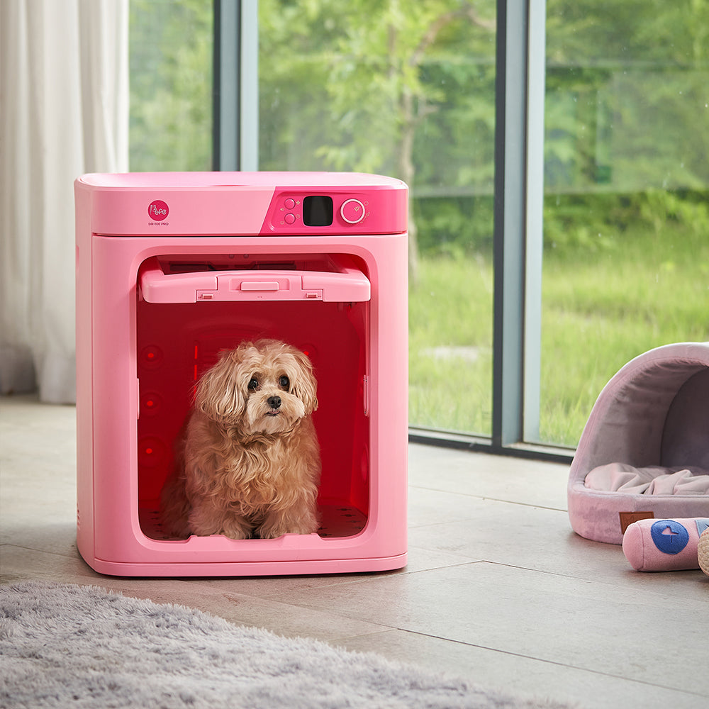 PePe DR100PRO Pink