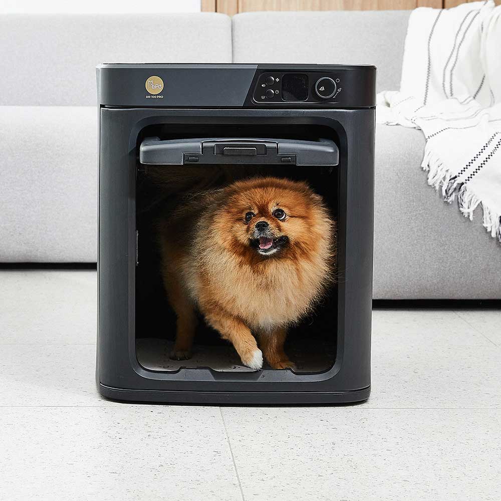 PePe DR100PRO Black