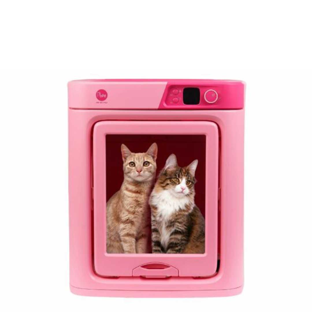 PePe DR100PRO Pink