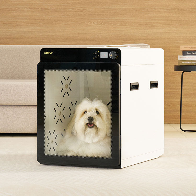 Pepe Absfur Small Dog Dry Room MDR-1000PRO