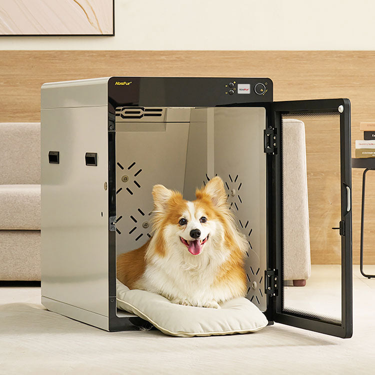 Pepe Absfur Medium Dog Dry Room MDR-3000PRO
