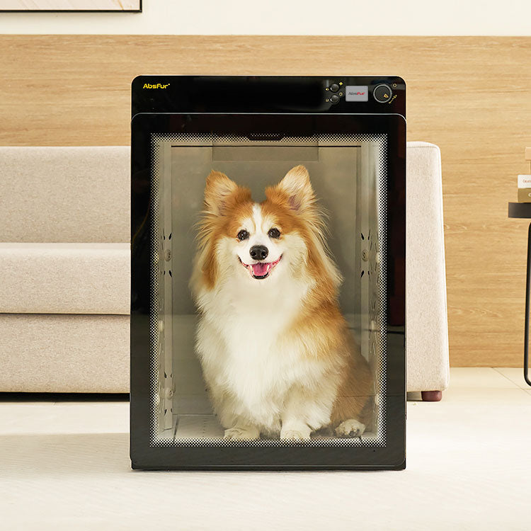 Pepe Absfur Medium Dog Dry Room MDR-3000PRO