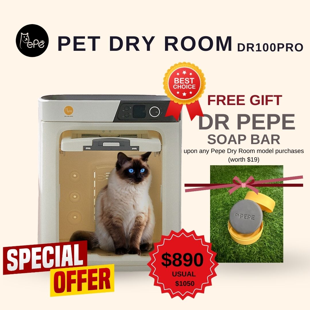 Pepe Pet Dry Room DR100PRO