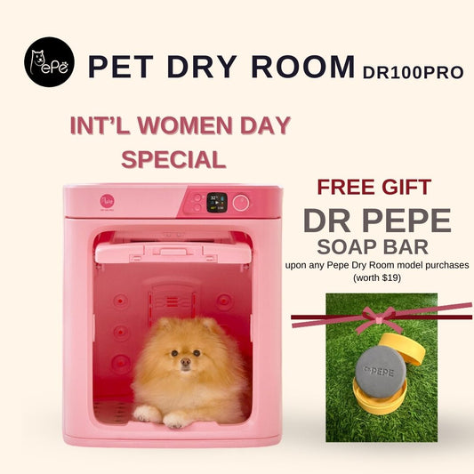 Pepe Pet Dry Room DR100PRO - Intl Women Day 2026