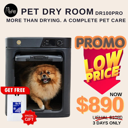Pepe Pet Dry Room DR100PRO[ + Free GIFT PEPE COOLER PAD