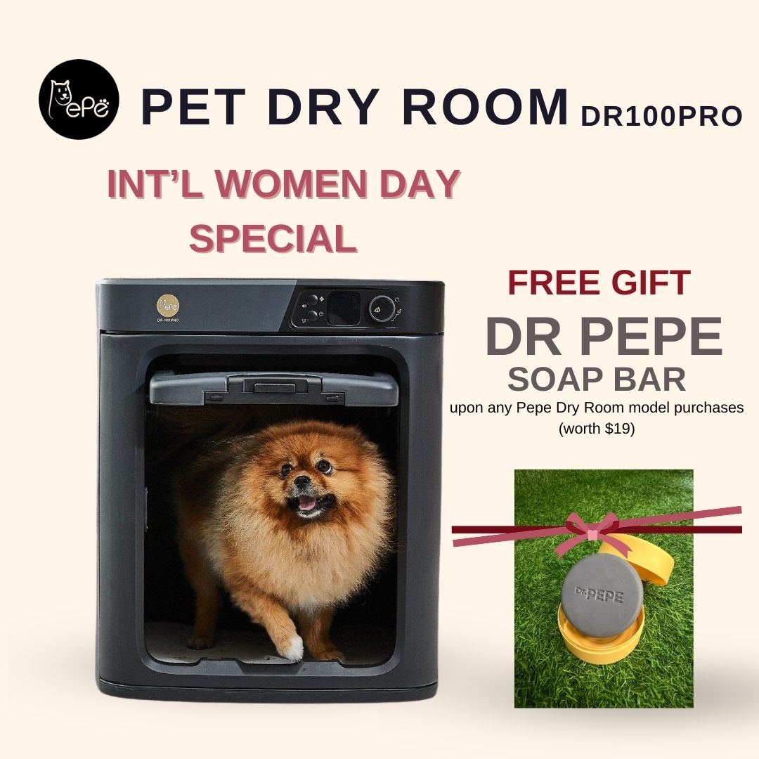 Pepe Pet Dry Room DR100PRO - Intl Women Day 2026