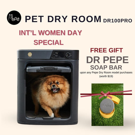 Pepe Pet Dry Room DR100PRO - Intl Women Day 2026