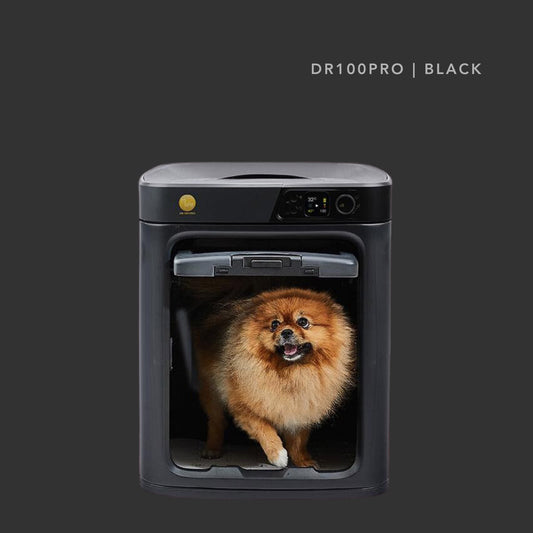 PePe DR100PRO Black