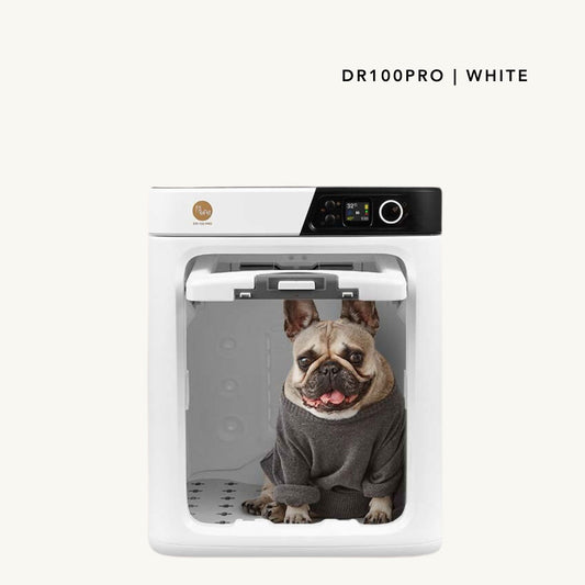 PePe DR100PRO Classic White