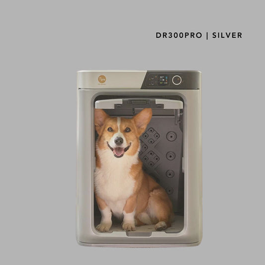 PePe DR300PRO Silver