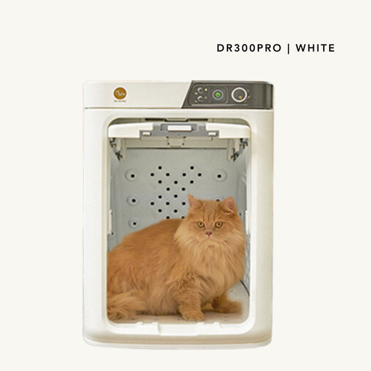 PePe DR300PRO White