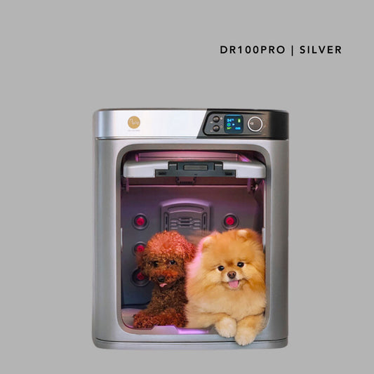 PePe DR100PRO Metallic Grey