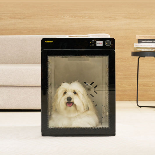 Pepe Absfur Small Dog Dry Room MDR-1000PRO