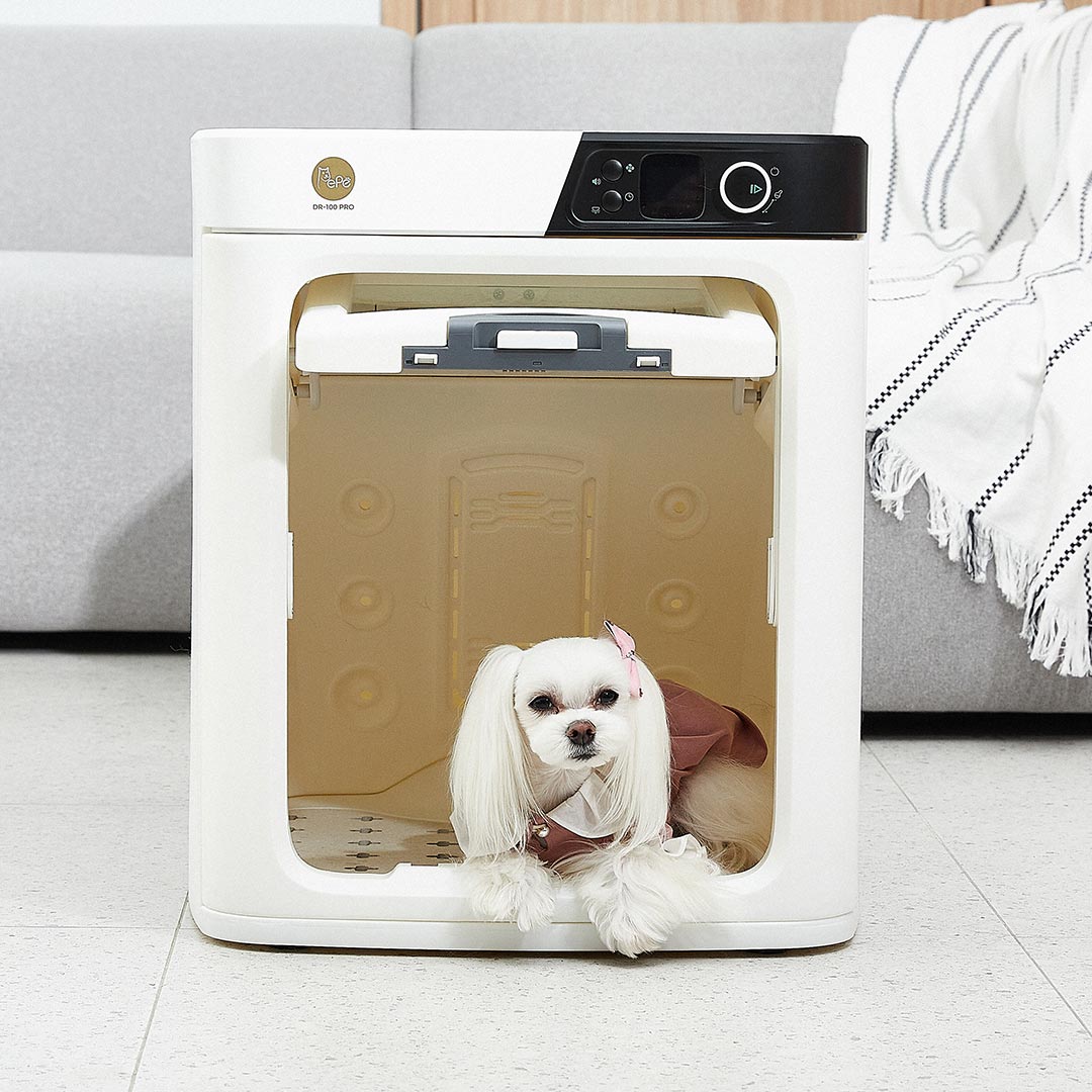 petconnexion