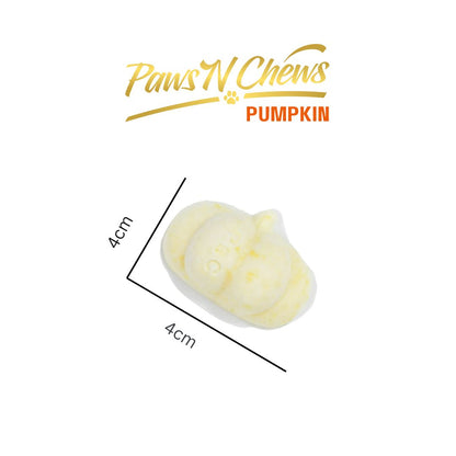 Fermented Goat Milk Probiotic Freeze-Dried – PUMPKIN – Trial Pack