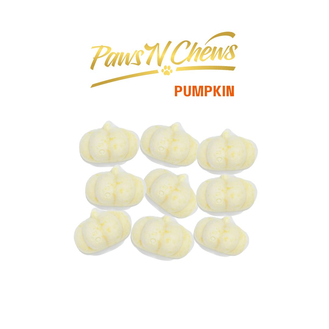 Fermented Goat Milk Probiotic Freeze-Dried – PUMPKIN – Trial Pack