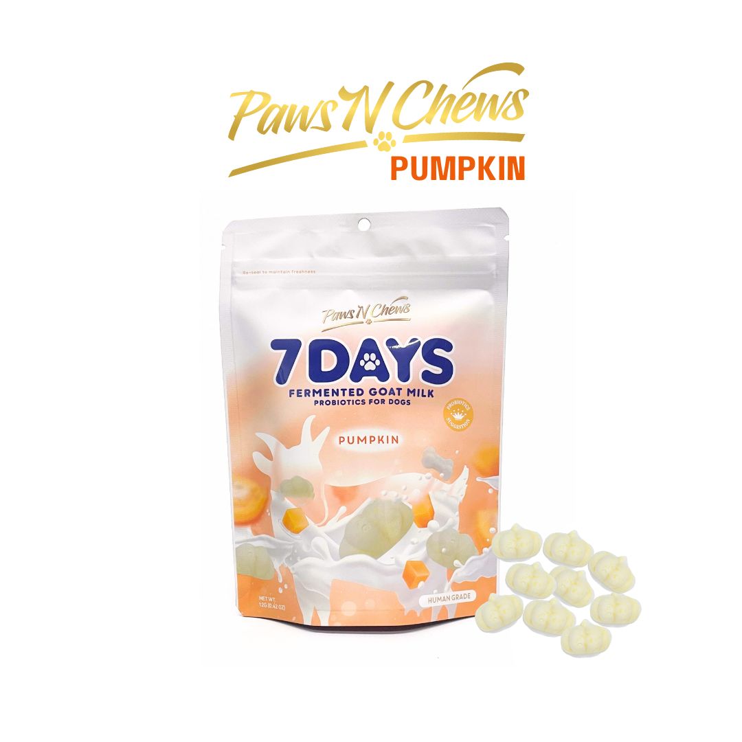 Fermented Goat Milk Probiotic Freeze-Dried – PUMPKIN – Trial Pack